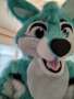 Blue husky fursuit