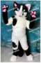 Tuxedo cat fursuit