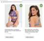Fraudulent website 