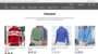 Fraudulent website