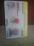 Scam drivers licence 