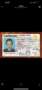 Zhao Tingting fake driver license 