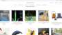 the website 