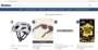 Fraudulent website 