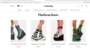 the website 