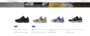 Fraudulent website
